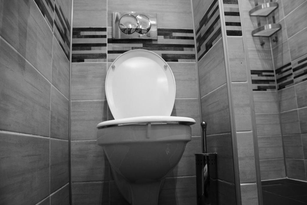Apartament Central Cismigiu Bucureşti Ngoại thất bức ảnh