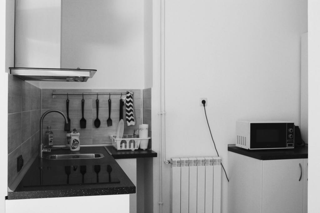Apartament Central Cismigiu Bucureşti Ngoại thất bức ảnh